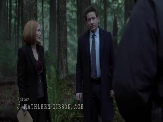 Секретные материалы11 сезон 14 серия